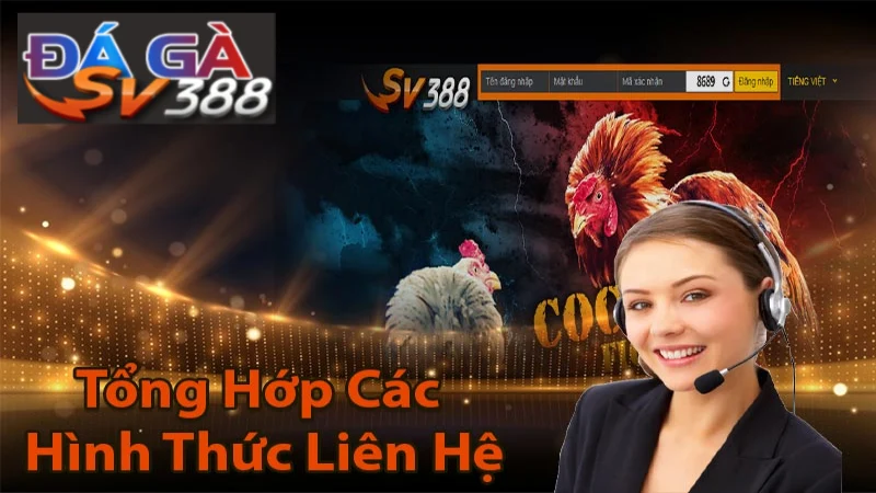 Hướng dẫn chi tiết và thông tin liên hệ SV388 nhanh nhất